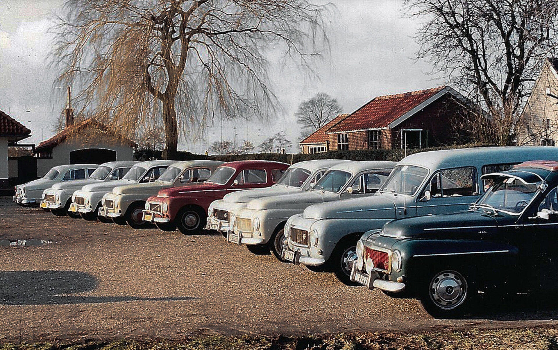 Vintage clubfoto van negen Katterugs op de boerderij van Freriks.
